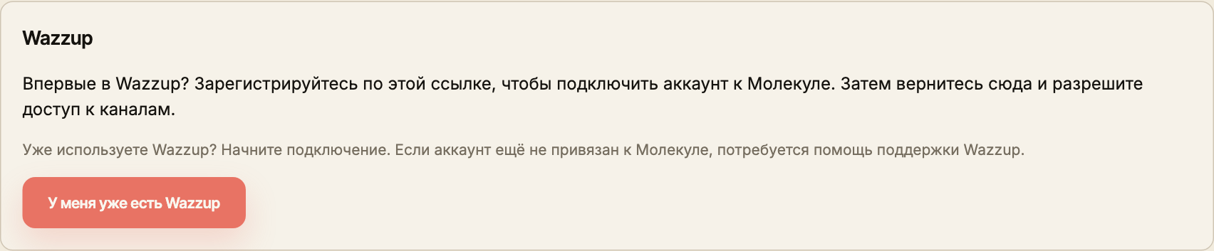 Начальное состояние подключения Wazzup с кнопкой «У меня уже есть Wazzup».
